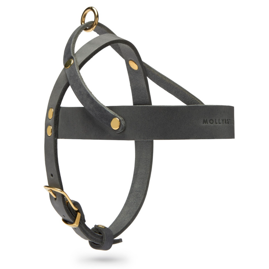 Butter Leather Dog Harness - Timeless Gray