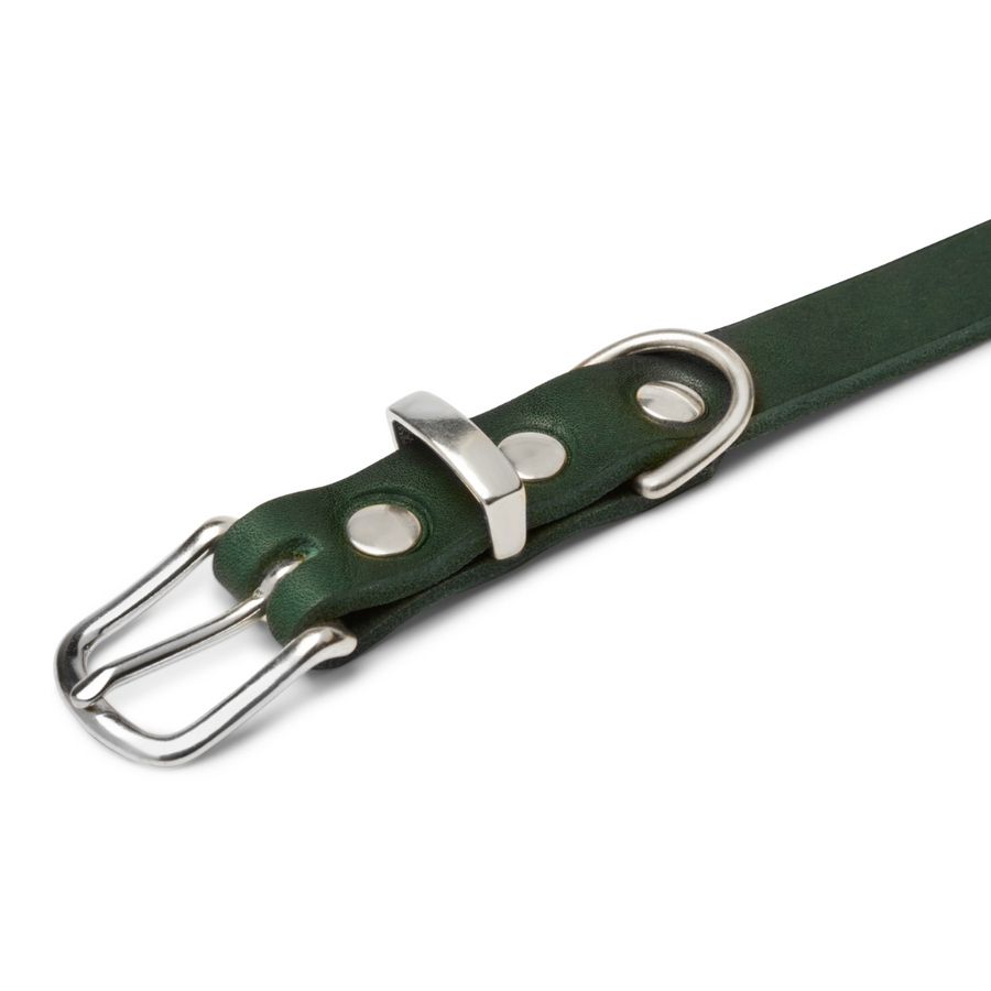 Butter Leather Dog Collar - Forest Green