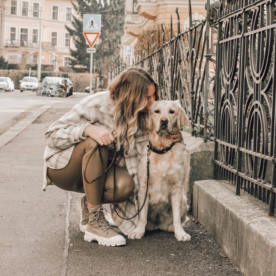 Butter Leather City Dog Leash - Classic Brown