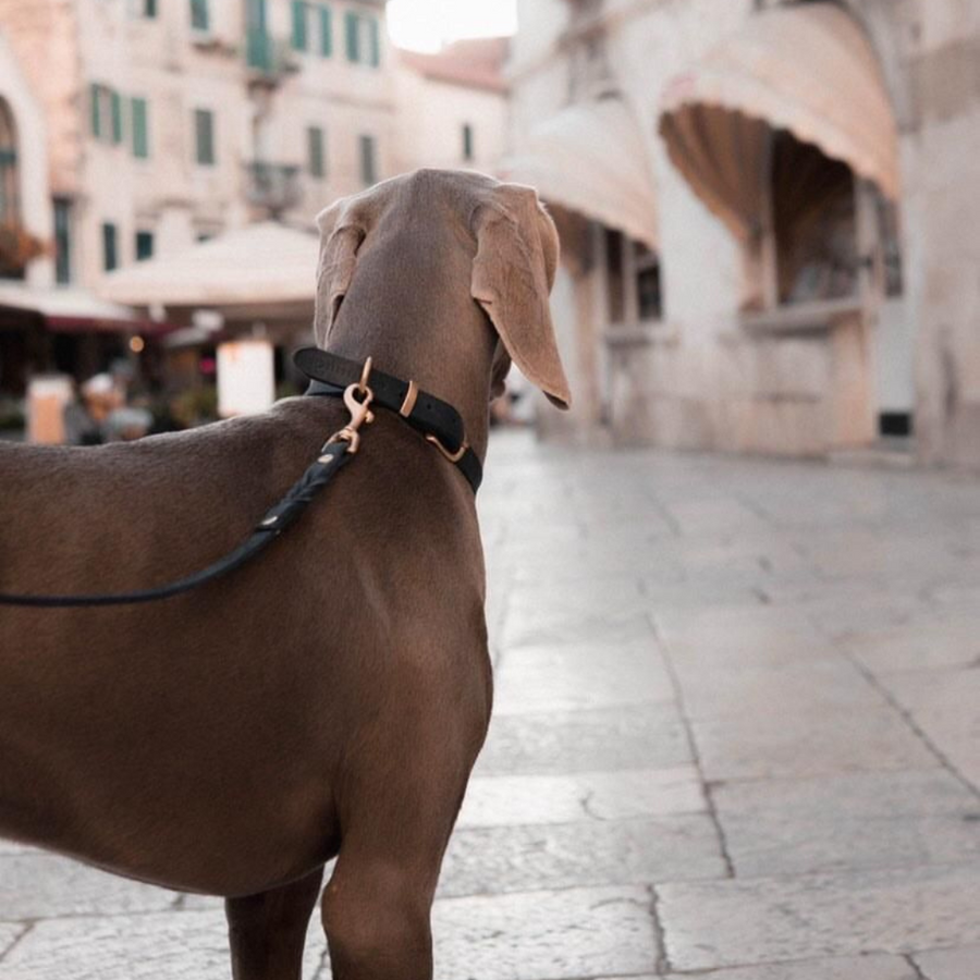 Butter Leather Dog Collar - Classic Brown