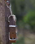 Butter Leather Dog Collar - Classic Brown