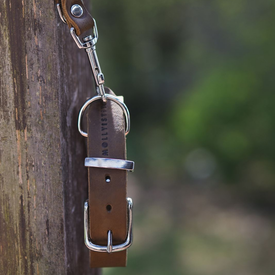 Butter Leather Dog Collar - Classic Brown