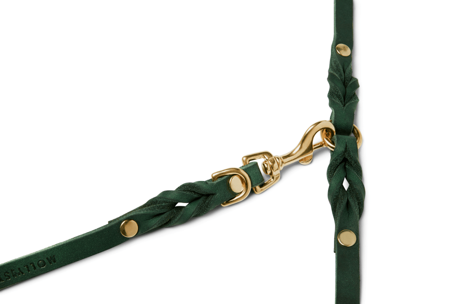 Butter Leather 3x Adjustable Dog Leash - Forest Green - Molly and Stitch GmbH