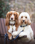 Butter Leather Dog Collar - Navy Blue - Molly and Stitch GmbH
