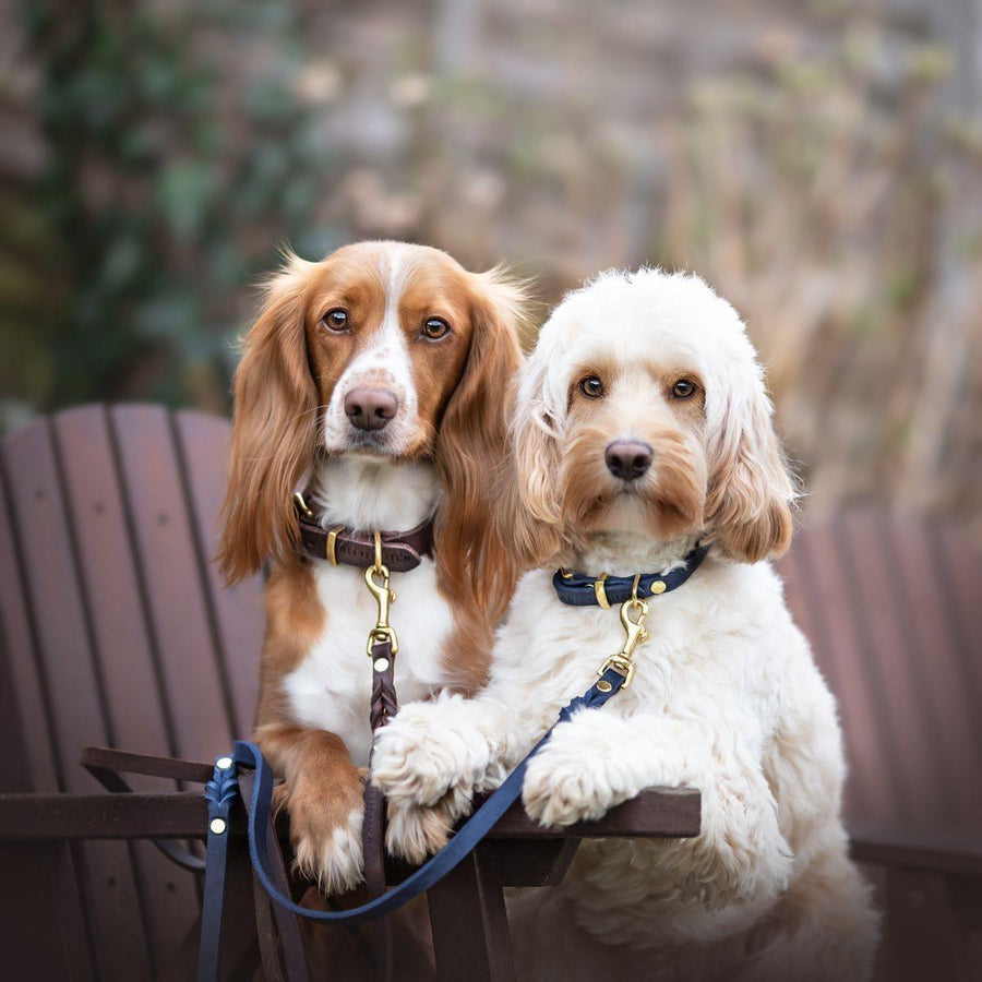 Butter Leather Dog Collar - Navy Blue - Molly and Stitch GmbH