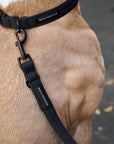 Soft Rock Adjustable Leash - Black