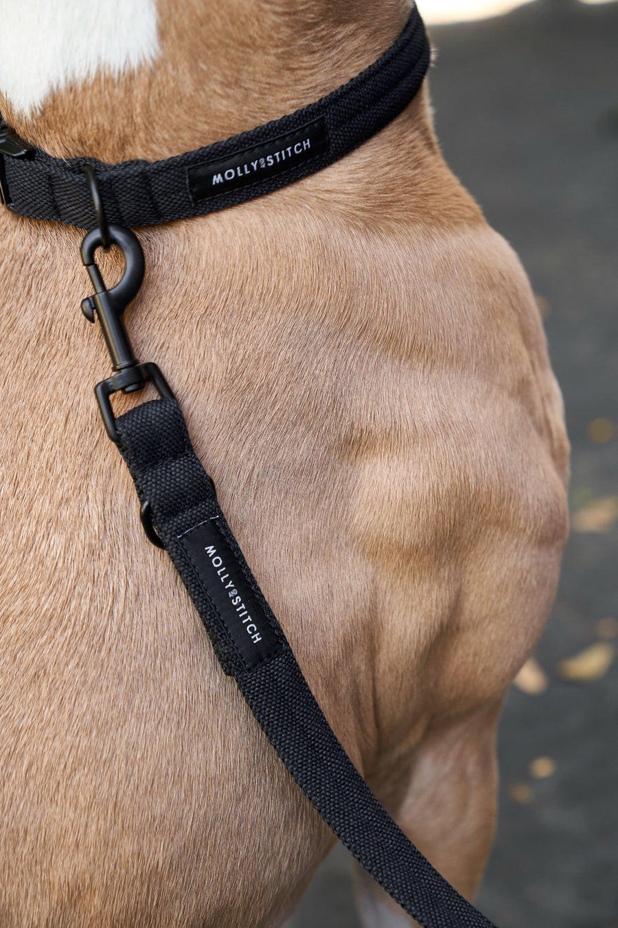 Soft Rock Adjustable Leash - Black