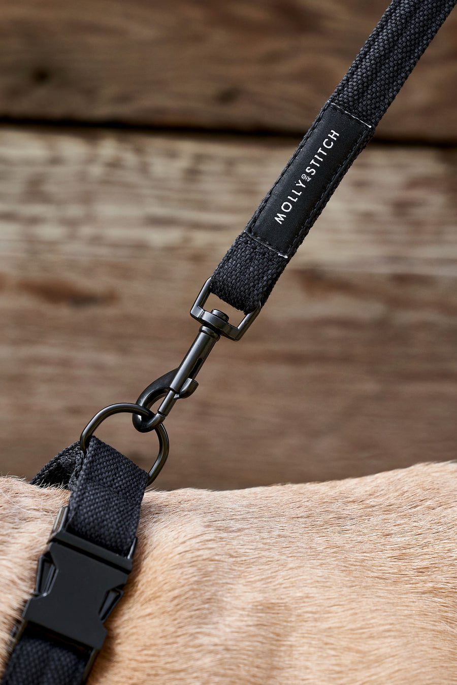 Soft Rock Adjustable Leash - Black