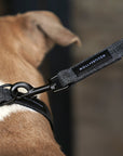 Soft Rock Collar - Grey