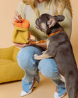 Alpine Treat Bag - Mustard