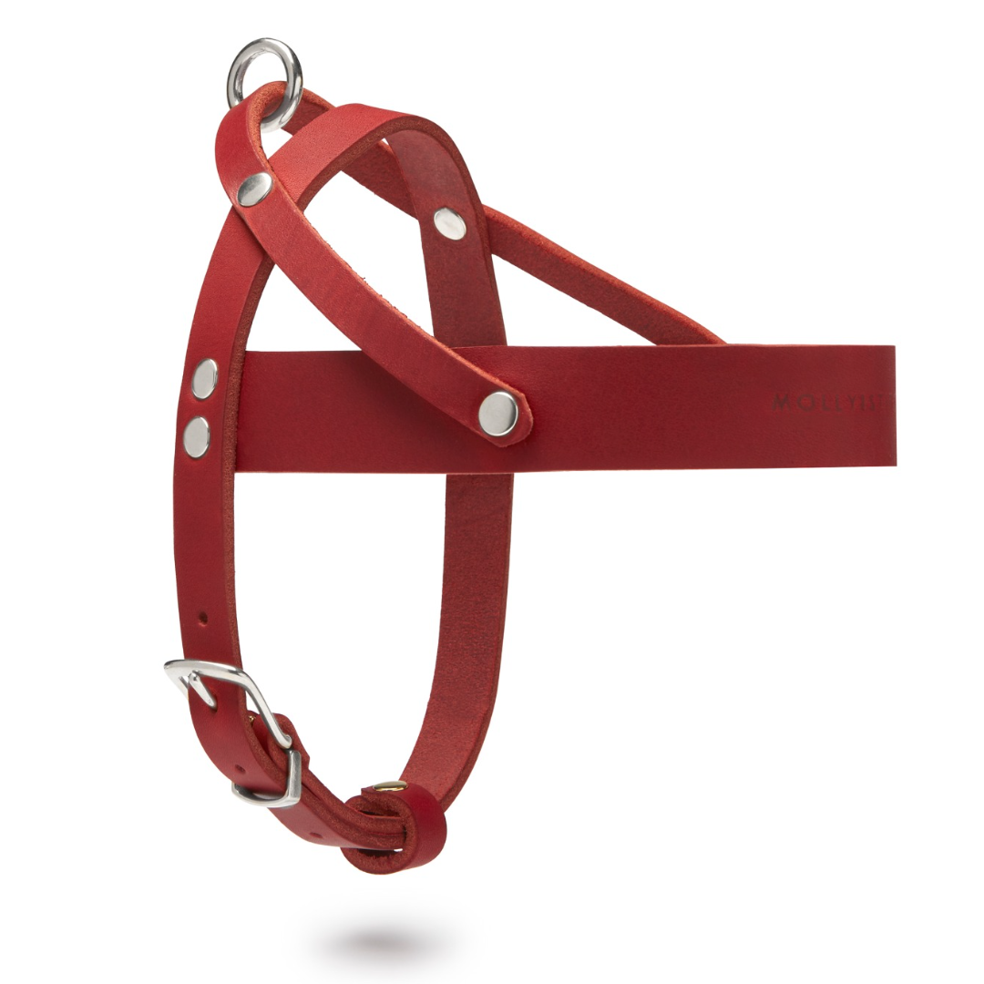 Maroon dog harness best sale