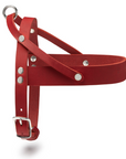 Butter Leather Dog Harness - Chili Red