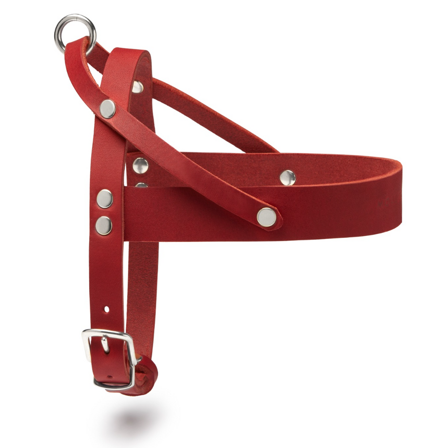 Butter Leather Dog Harness - Chili Red