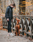 Maritime Dog Leash - Military - Molly and Stitch GmbH
