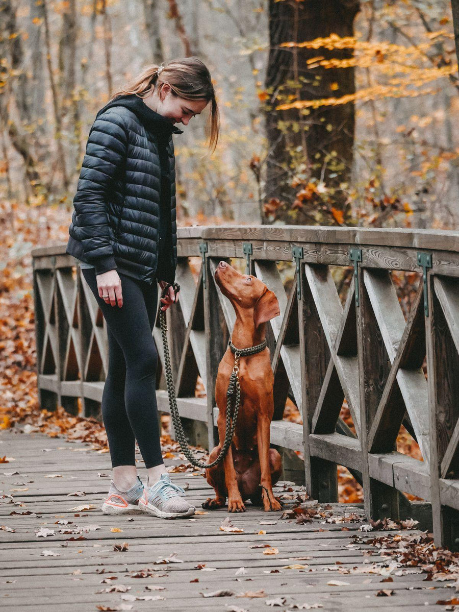 Maritime Dog Leash - Military - Molly and Stitch GmbH