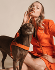 Butter Leather City Dog Leash - Mango - Molly and Stitch GmbH