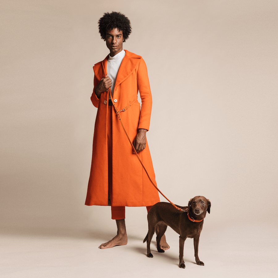 Mango clearance dog collar