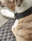 Soft Rock Collar - Black