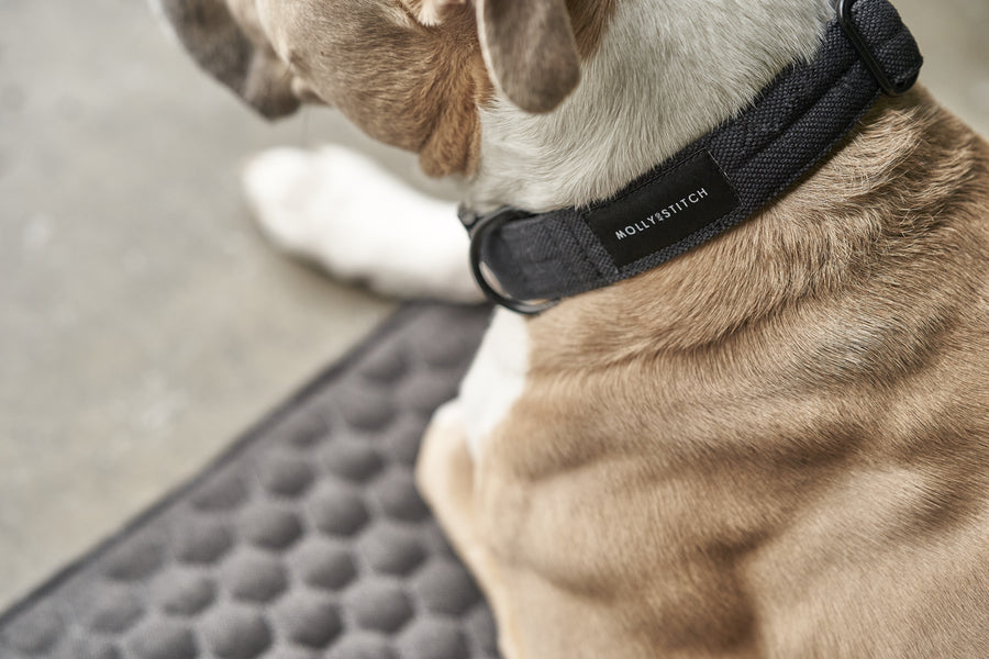 Soft Rock Collar - Black