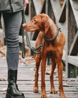 Maritime Dog Leash - Military - Molly and Stitch GmbH