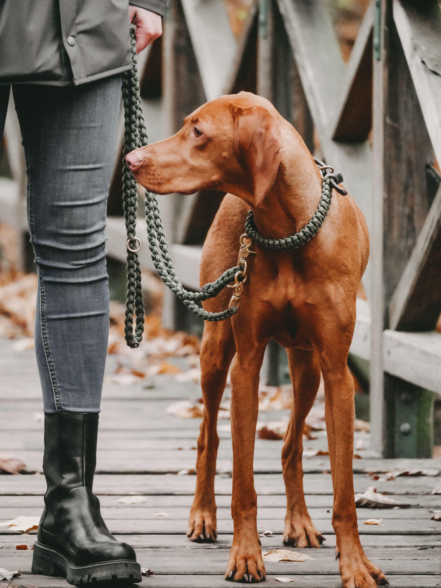 Maritime Dog Leash - Military - Molly and Stitch GmbH