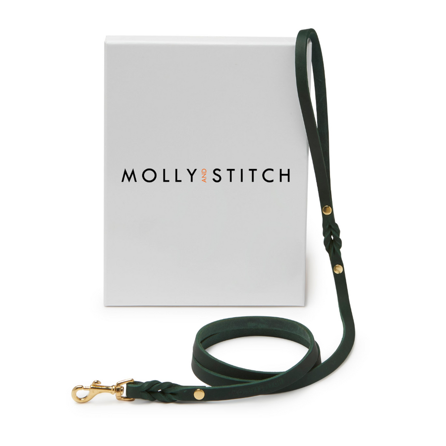 Butter Leather City Dog Leash - Forest Green