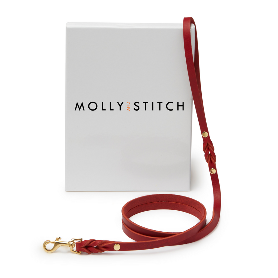 Butter Leather City Dog Leash - Chili Red