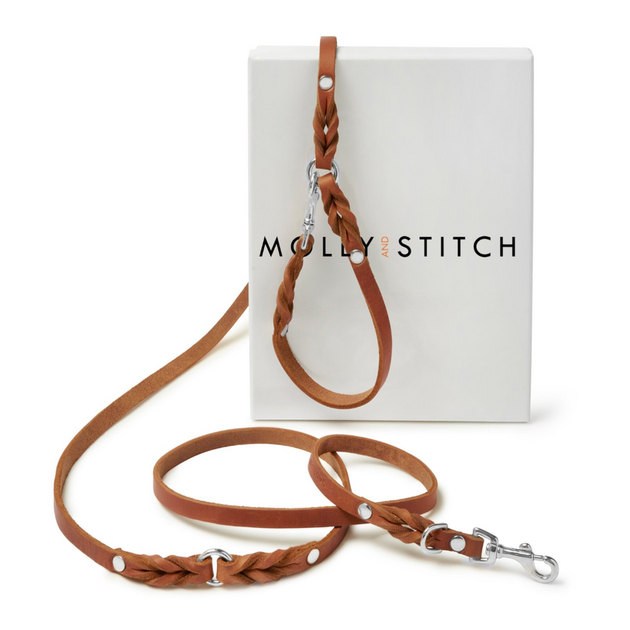 Butter Leather 3x Adjustable Dog Leash - Sahara Cognac