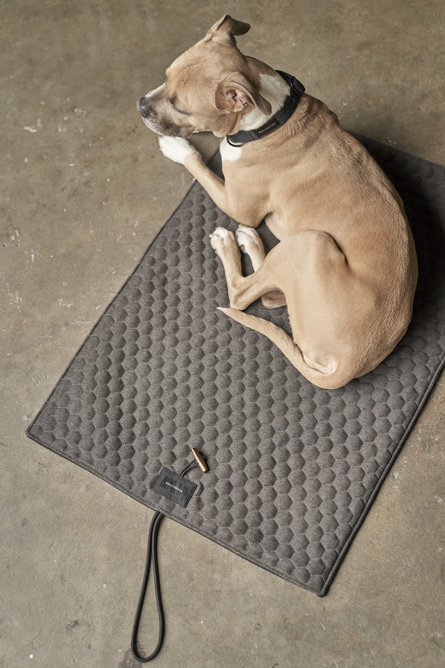 Honeycomb Dog Travel Mat - Grey